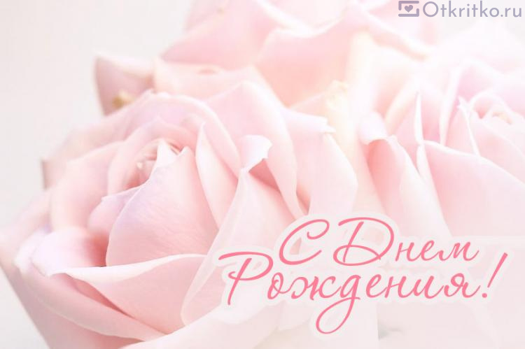 Нежная и красивая открытка с прекрасными розами, на день рождения женщине