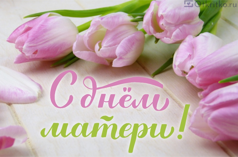 Открытка с розовыми тюльпанами на столе