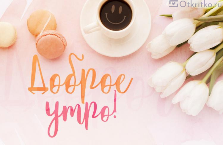 Картинка Доброе Утро, с красивым белыми тюльпанами, разноцветными печеньками макарон и чашечкой бодрящего кофе