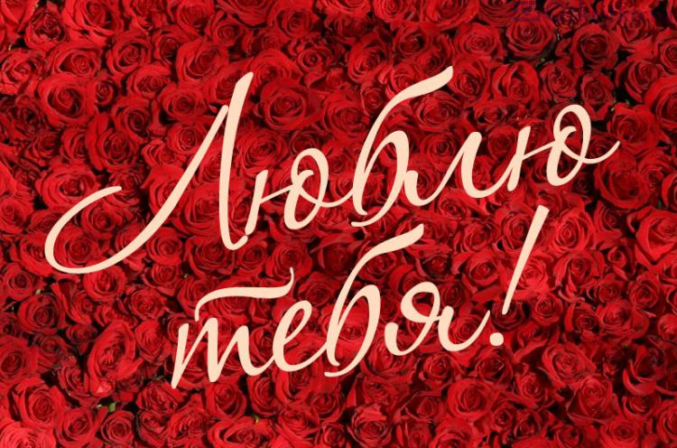Люблю Тебя - красивая открытка для любимой, с розами