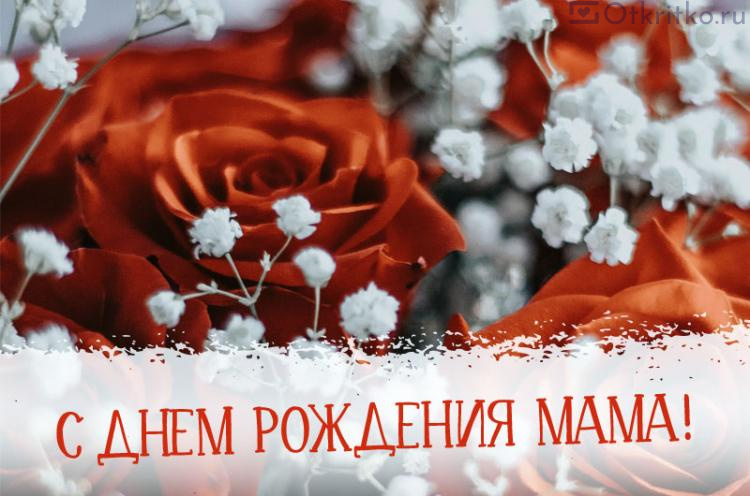 Красивая картинка с днем рождения маме, с нежными красными розами