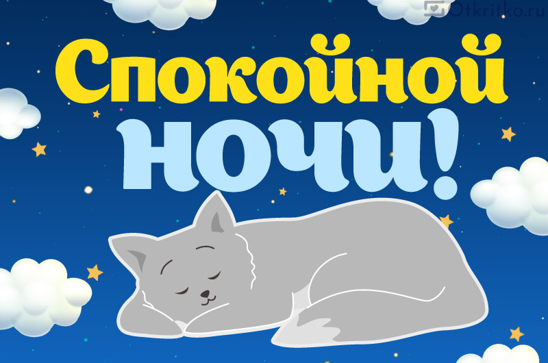 Спокойной Ночи, милая картинка с котиком 800x530