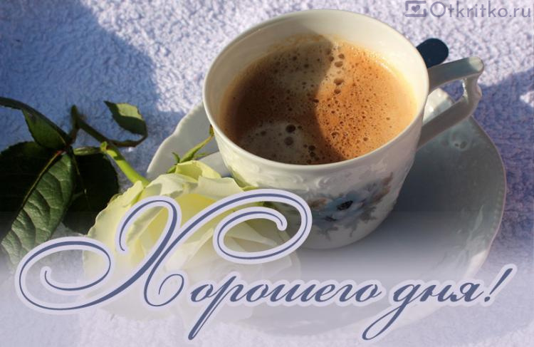 Красивая открытка с чашкой кофе, розой и пожеланием Хорошего Дня 750x487