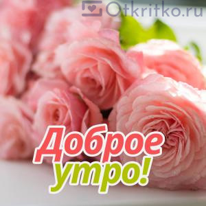 Открытка с розовыми цветочками и пожеланием Доброго Утра