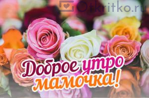 Открытка Доброе Утро Мамочка, с красивыми розами 300x198
