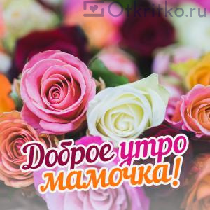 Открытка Доброе Утро Мамочка, с красивыми розами 300x300