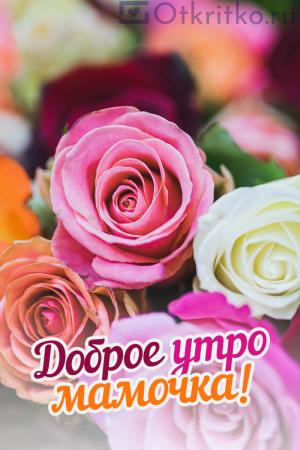 Открытка Доброе Утро Мамочка, с красивыми розами 300x450