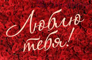 Люблю Тебя - красивая открытка для любимой, с розами 300x198