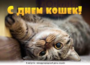 Красивая открытка на международный день кошек 300x217
