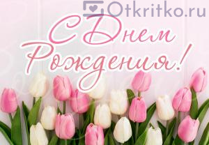 С Днем Рождения Женщине, картинка с прекрасными тюльпанами