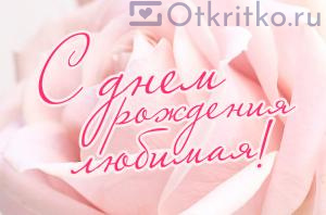 «С Днем Рождения Любимая»‎ нежная открытка с розой 300x198