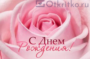 С днем рождения женщине, открытка с нежным бутоном розы