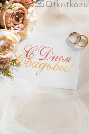 Красивая открытка для поздравления жениха и невесты с Днем Свадьбы 300x450
